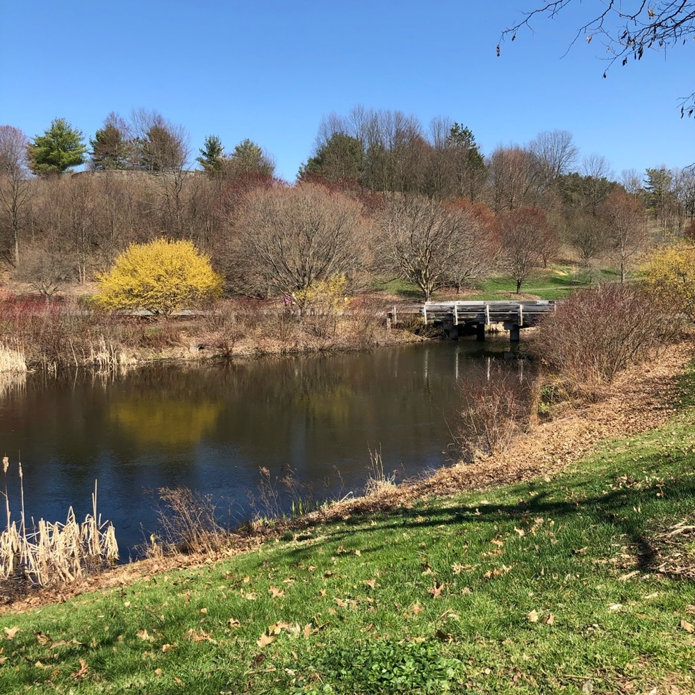 Meet your Posher, Jackie